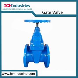  Resilient Seated Gate Valve