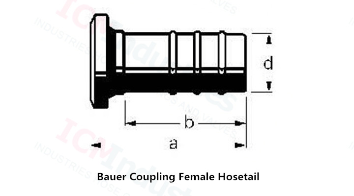 Bauer Coupling Female Hosetail.jpg